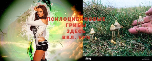 таблы Алексеевка